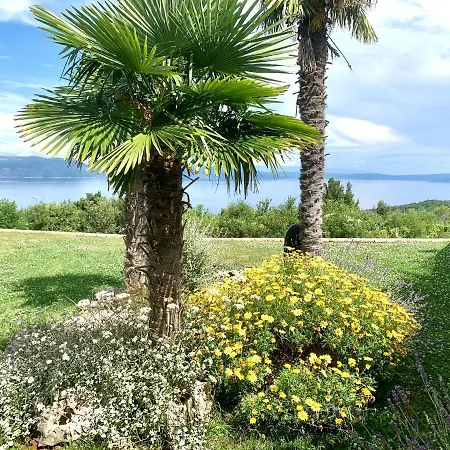 Luxury Panorama With Amazing Seaview In Gondolici 7 Km From Rabac 别墅 拉宾
