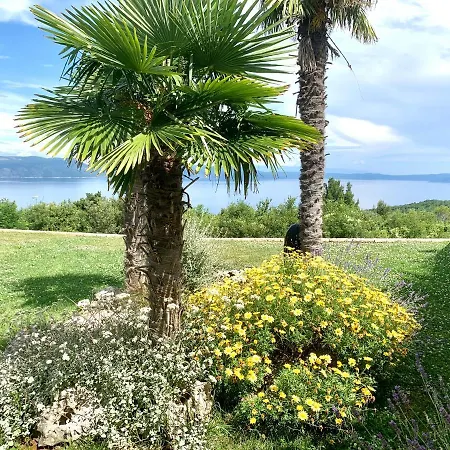 Luxury Panorama With Amazing Seaview In Gondolici 7 Km From Rabac Guest house Labin (Istria)