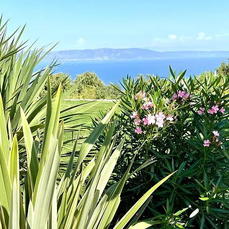 Luxury Panorama With Amazing Seaview In Gondolici 7 Km From Rabac Labin (Istria)